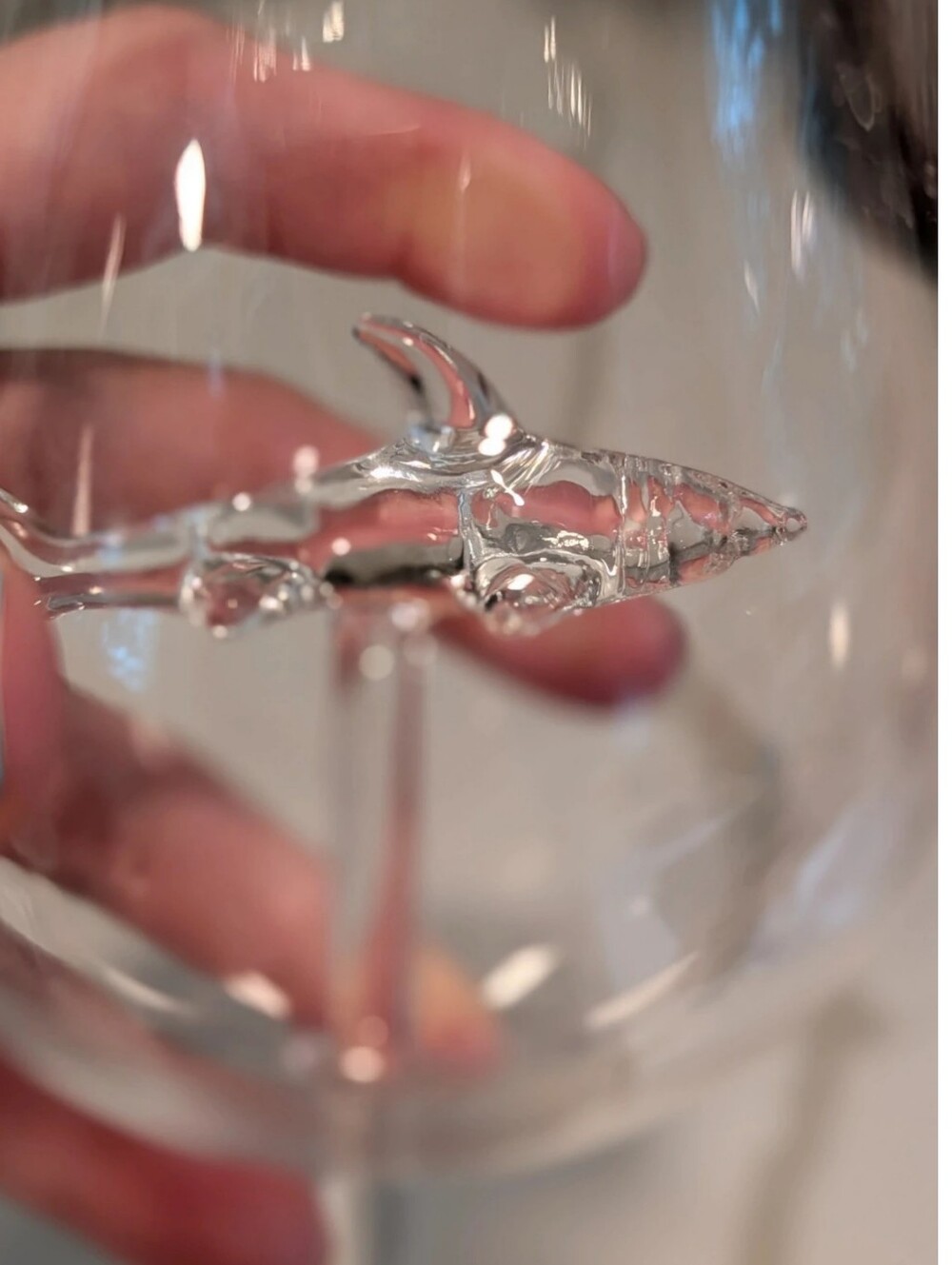 Unique glass Shark wine glass, 8.25"